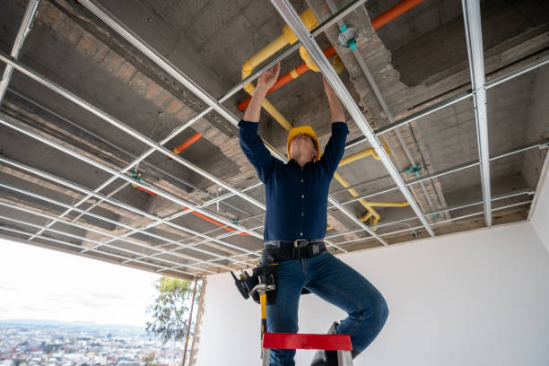 Best Plumbing Inspection Services  in Dunkirk, IN