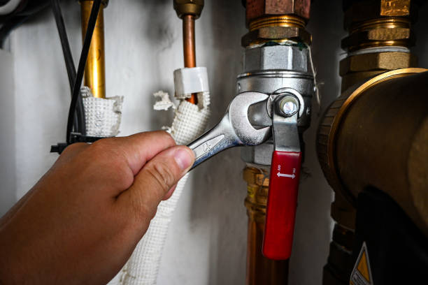 Best Clogged Drain Plumber  in Dunkirk, IN